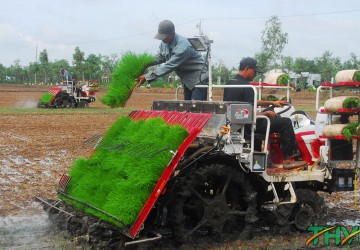 Tương Lai Ngành Nông Nghiệp Công Nghệ Cao: Tiềm Năng Và Những Thách Thức