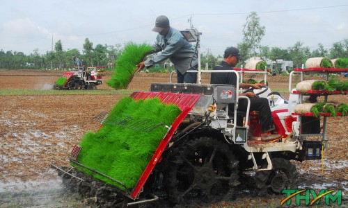 Tương Lai Ngành Nông Nghiệp Công Nghệ Cao: Tiềm Năng Và Những Thách Thức